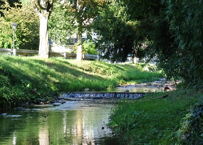 Edelmann * مولهايم